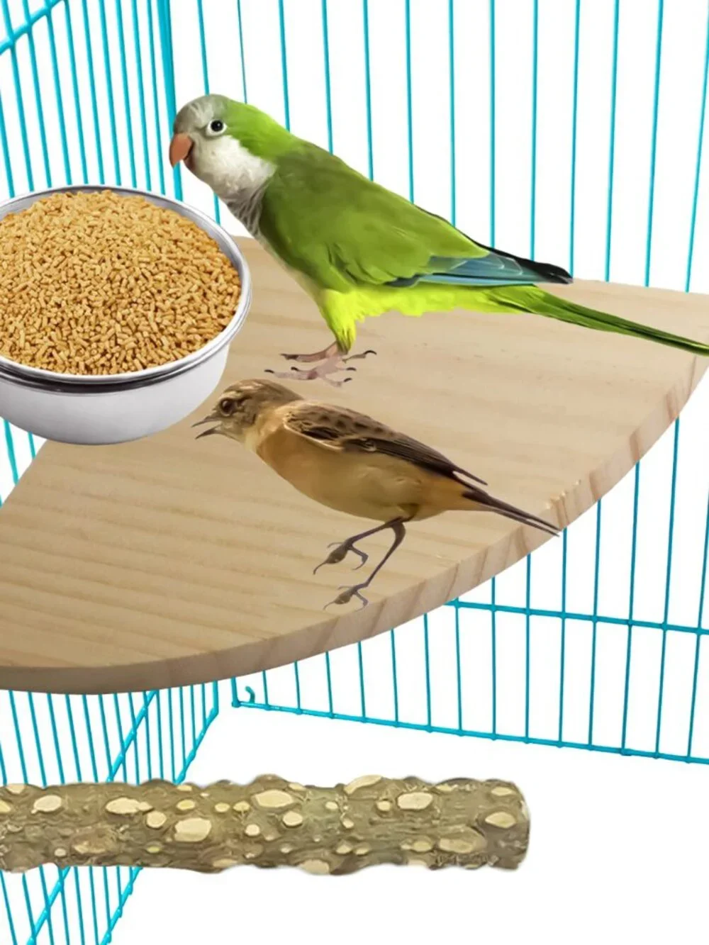 3 Pack Bird Feeding Bowls Cups Parrot Food Water Dishes, Stainless Steel Bird Bo